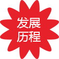 九五至尊VI